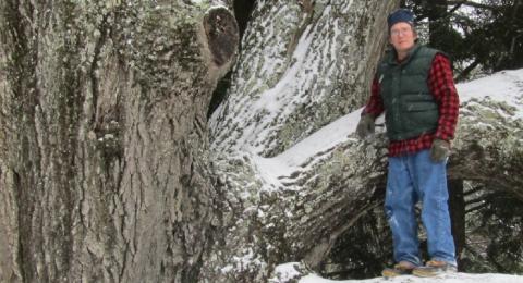 Man standing in front of a large NH tree